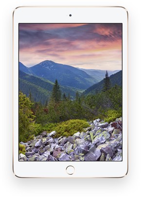 iPad Mini 3 CDMA A1600 64GB