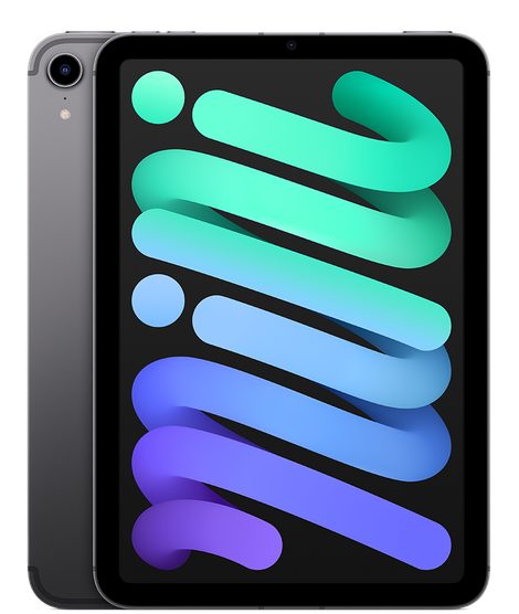 iPad Mini 5G 6th gen 2021 Global TD-LTE A2568 256GB