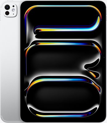 iPad Pro 11-inch 5G 5th gen 2024 Global TD-LTE A2837 256GB