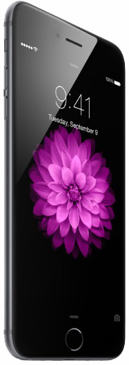 iPhone 6 Plus TD-LTE A1524 64GB