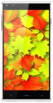 Doogee Dagger DG550