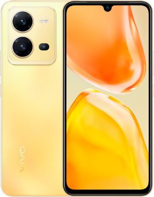 Vivo V25 5G 2022 Standard Edition Global Dual SIM TD-LTE V2 256GB V2202